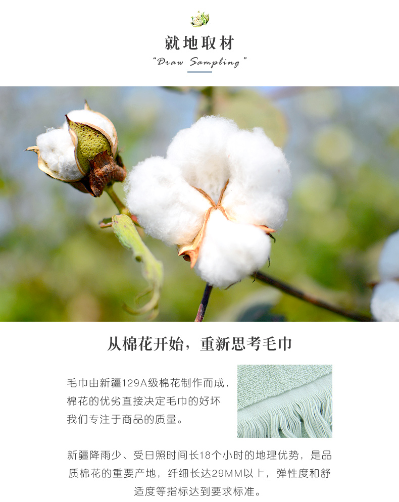 天山雪域 新疆纯棉花酒店毛巾加厚大尺寸柔软吸水洗脸面巾2条装35*75