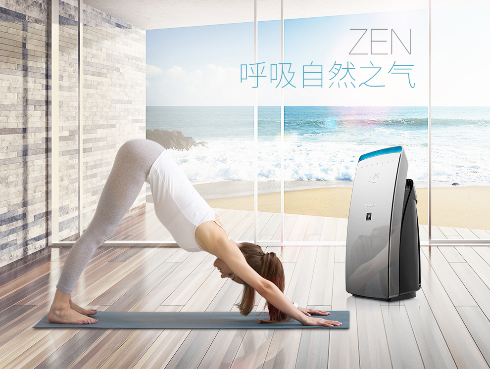 夏普(SHARP) 空气净化器 FP-CH70-B(PM2.5数