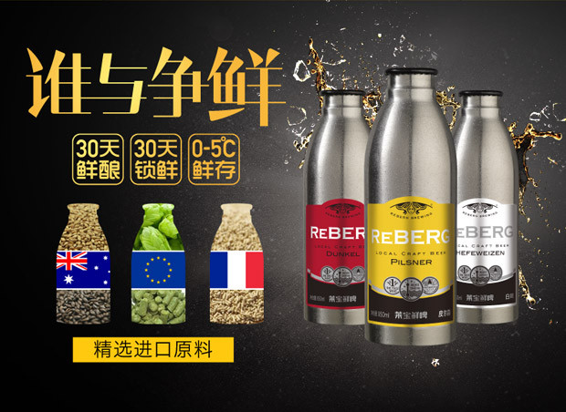 reberg莱宝精酿啤酒混合装650mlx6瓶