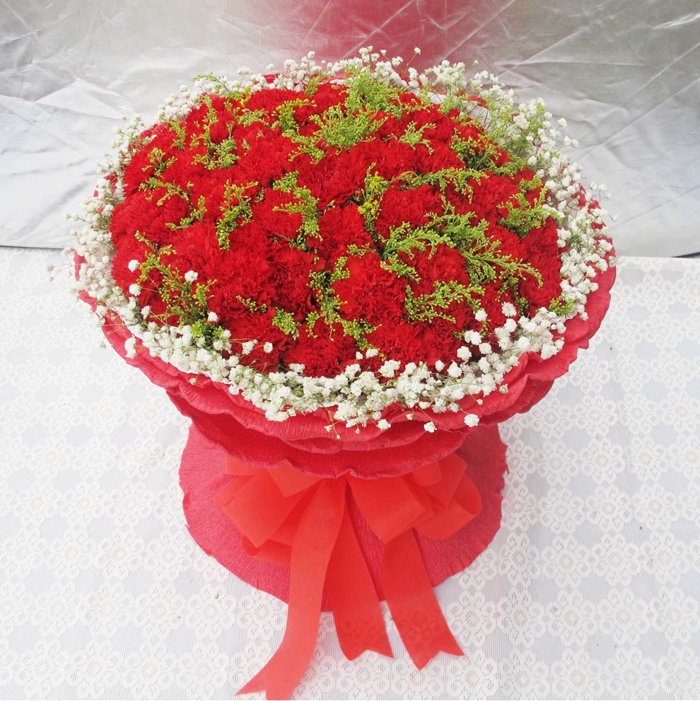 彩丽馆送女朋友鲜花速递全国送花 33朵康乃馨花束 送长辈生日祝福鲜花