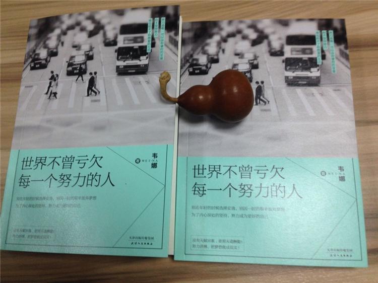 世界不曾亏欠每一个努力的人 韦娜 著著 经管,励志 文轩网