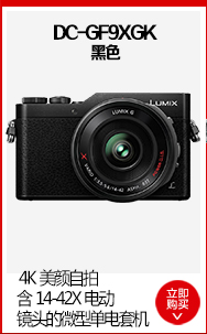 松下（Panasonic）Lumix DC-GF9XGK（14-42X）微型单电套机 黑色 4K美颜自拍 微单相机