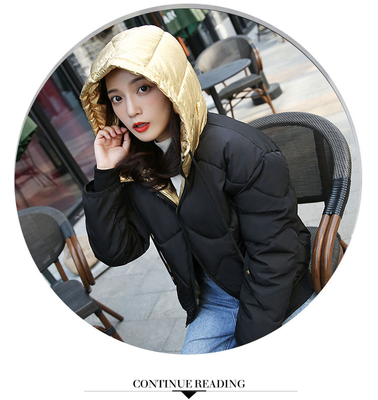 韩雪青青2017韩版新款冬装李小璐机场同款短