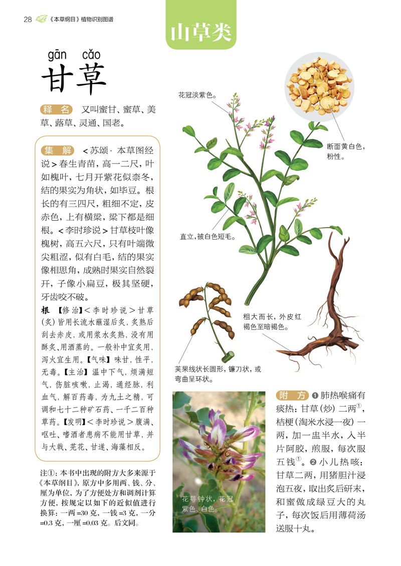 超级新品 本草纲目植物识别图谱(汉竹)