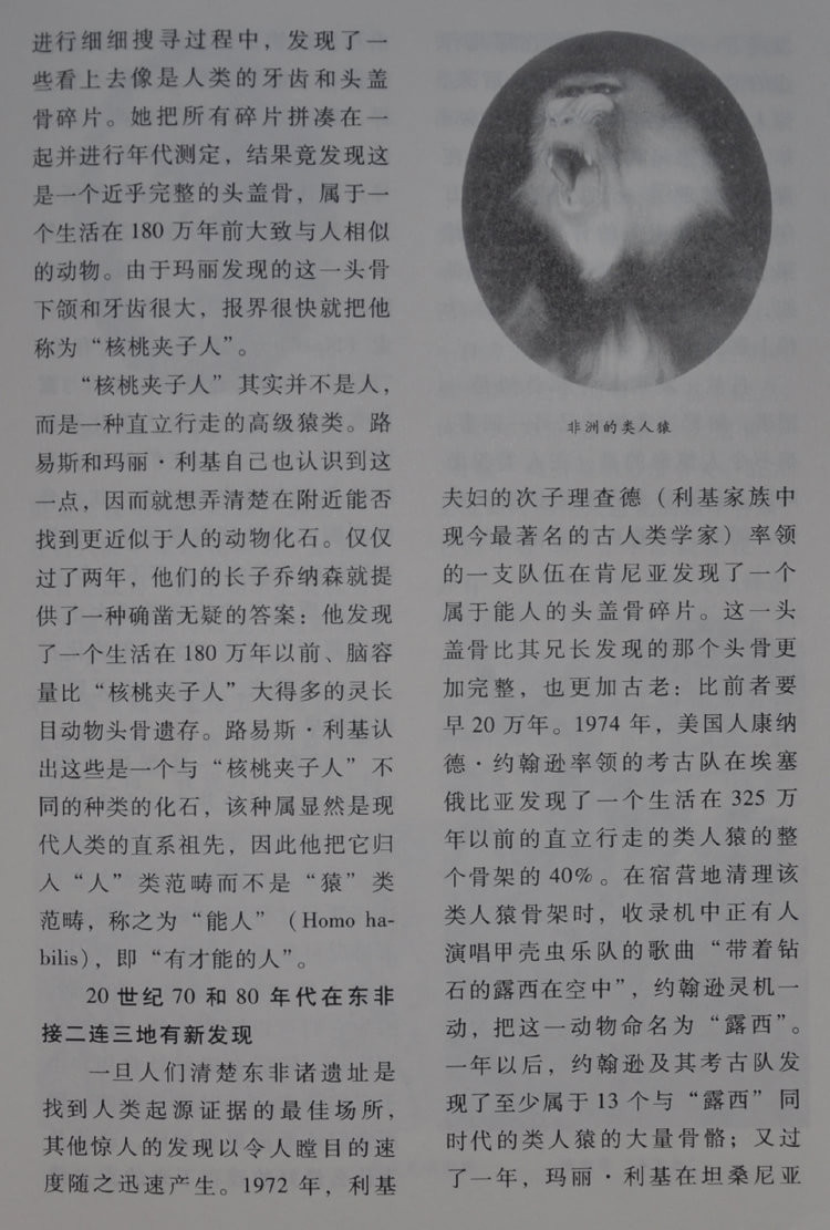 《世界通史 正版全套世界历史书籍\/现代白话\/全