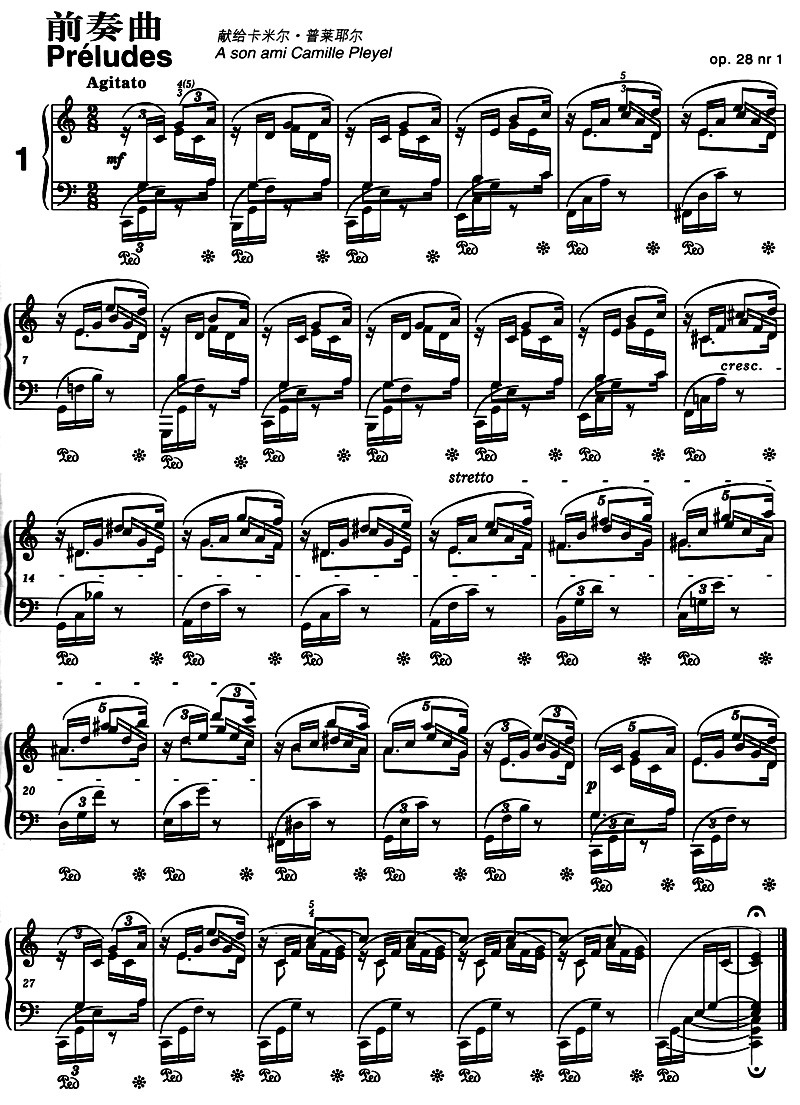 《肖邦钢琴作品全集:前奏曲作品28、45》(波)