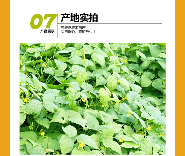 黑豆黑米黑芝麻黑花生黑糯米图片