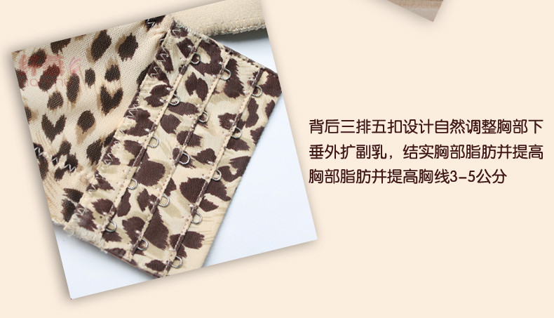 纤慕蕾丝豹纹薄杯聚拢女士<em>文胸罩</em> <em>五排扣</em>侧收