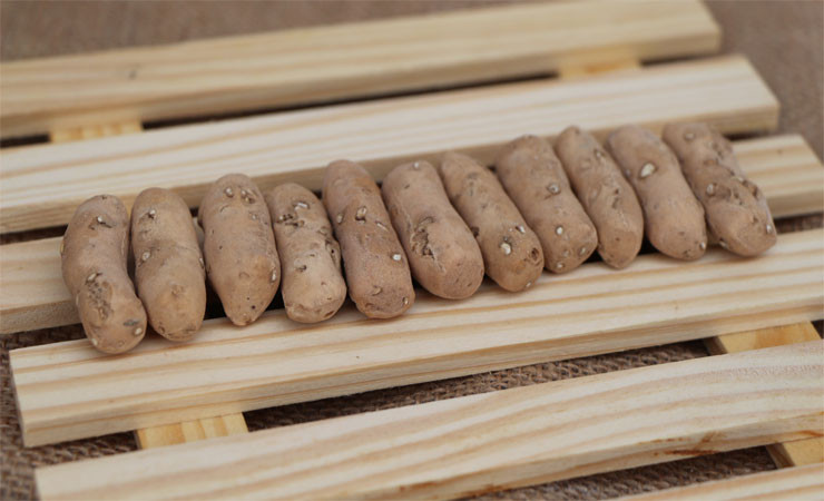 河南精品特产王屋山土炒馍100g/袋水果味