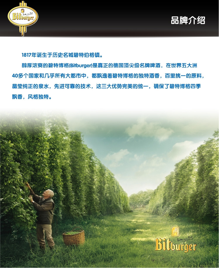 原装 进口 德国 比特博格 碧特博格 啤酒 500ml