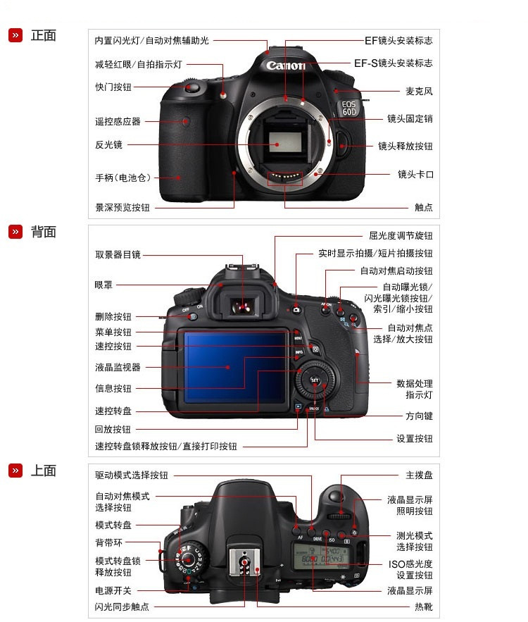 请问佳能的数码相机选用什么类型的储存卡最好,什么牌子的比较好?