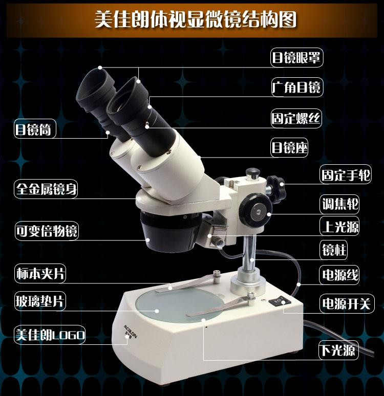 超级新品 美佳朗 高级体视显微镜 mcl-3ct 学生实验室 高倍 自带光源