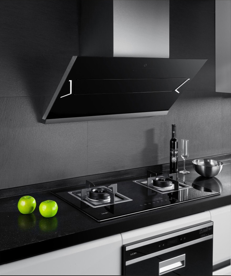 帅康(sacon)CXW-220-TJ20+QAS-108-B2油烟