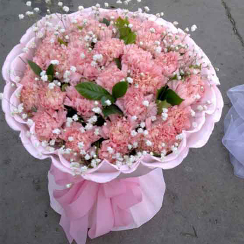 花袭人 鲜花速递全国33朵粉康乃馨鲜花送妈妈