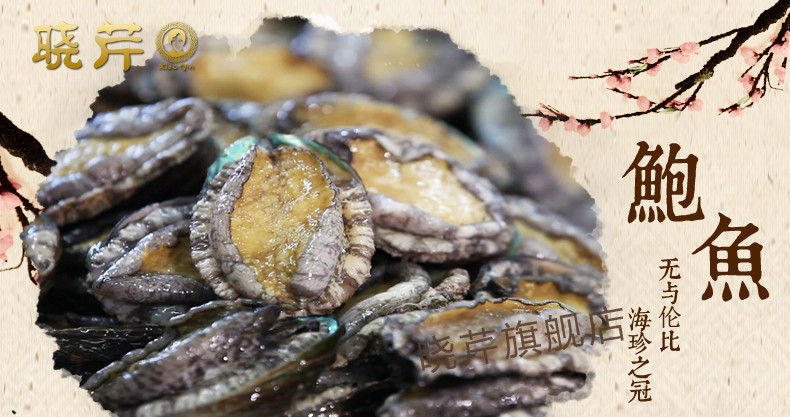 海鲜大餐_海鲜干货_海鲜九孔