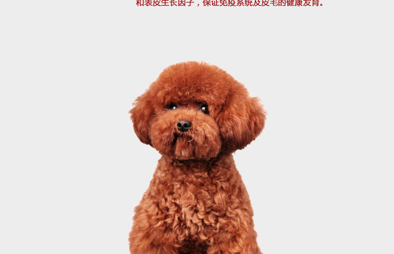 【味它宠物用品专卖店】e-weita味它 犬主粮 贵