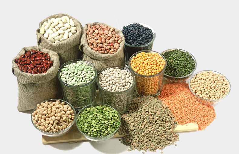 【味它宠物用品专卖店】e-weita味它 犬主粮 贵