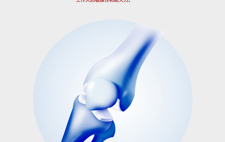 【味它宠物用品】e-WEITA 味它 拉布拉多犬专