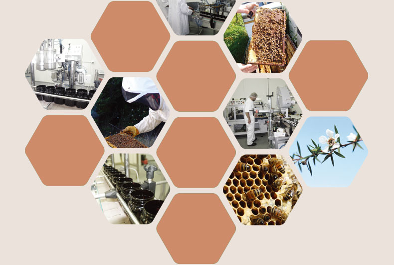 【森蜂园传统滋补】沃森麦卢卡蜂蜜 MANUKA