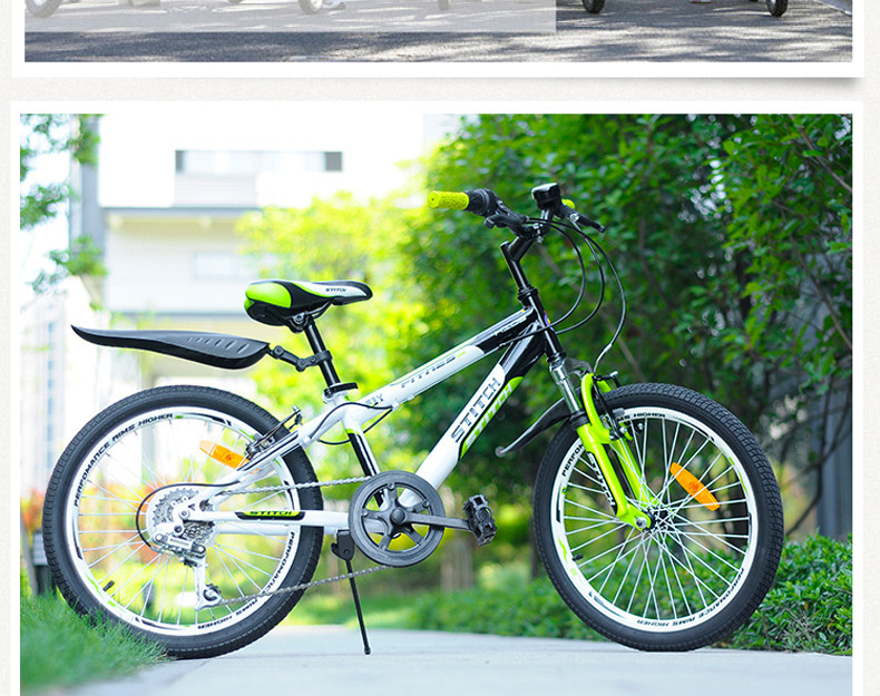 自行车品牌排行_电动自行车品牌排行(5)