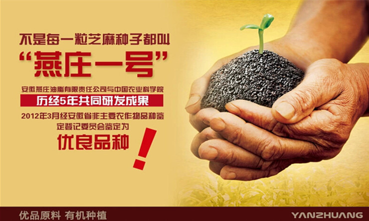 【燕庄调味酱 】燕庄小磨香油160ml