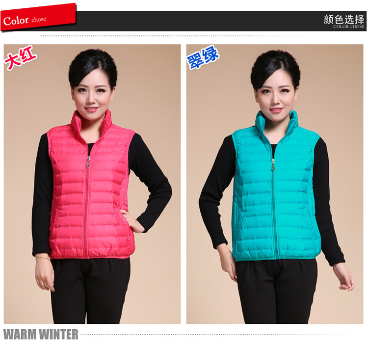 【世纪凤美<em>南极人</em>服饰】<em>雅鹿</em> 羽绒服 2014女款