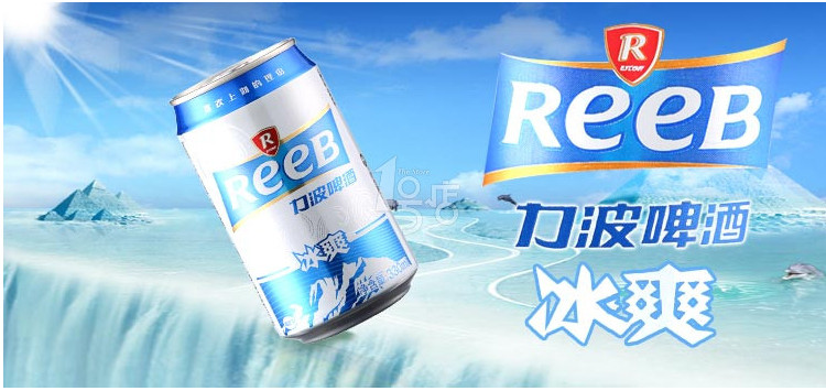 力波啤酒冰爽拉罐330ml
