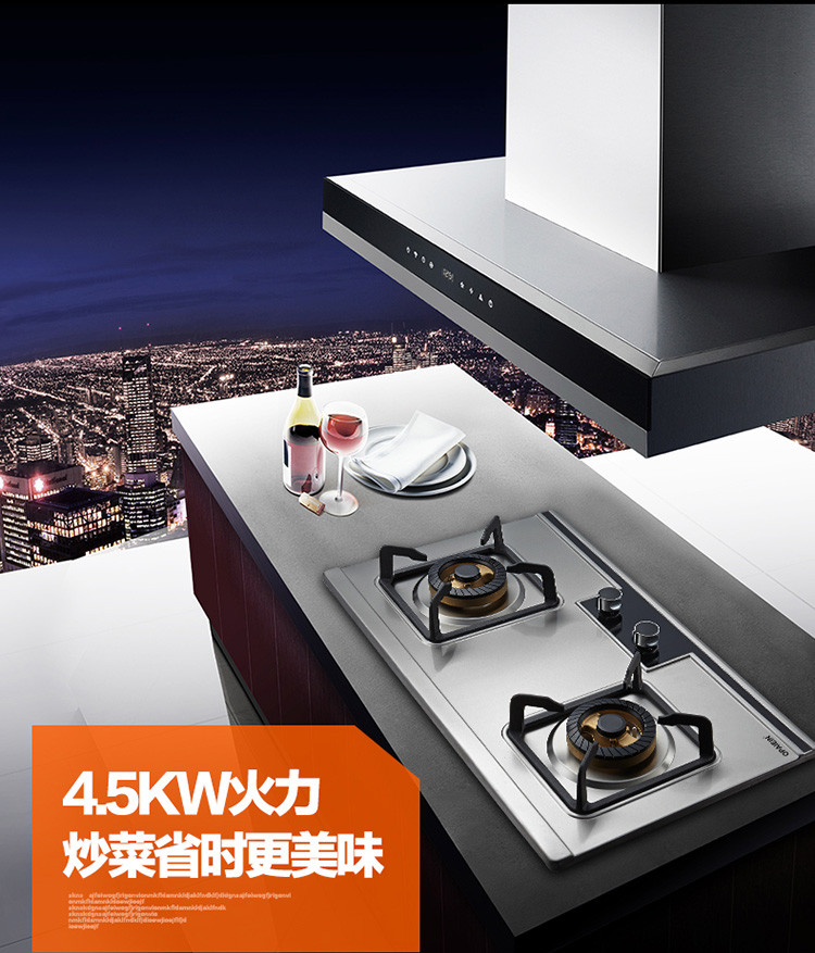 【OPAIEIN广东欧派电器专卖店】OPAIEIN烟灶