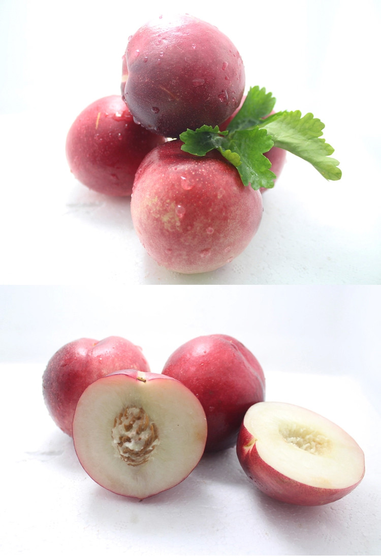 【苏宁超市】进口油桃/1 kg
