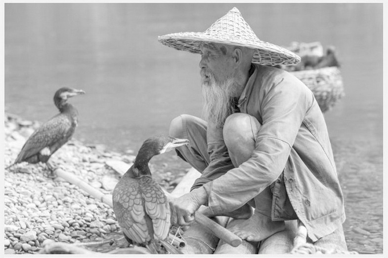 徕卡 Leica M75mm\/f2 ASPH镜头 莱卡双A 定焦