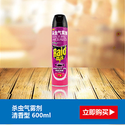 雷达(Raid) 杀虫气雾剂 柑橘600ml x1瓶 杀虫剂 喷雾 杀虫水 除虫剂