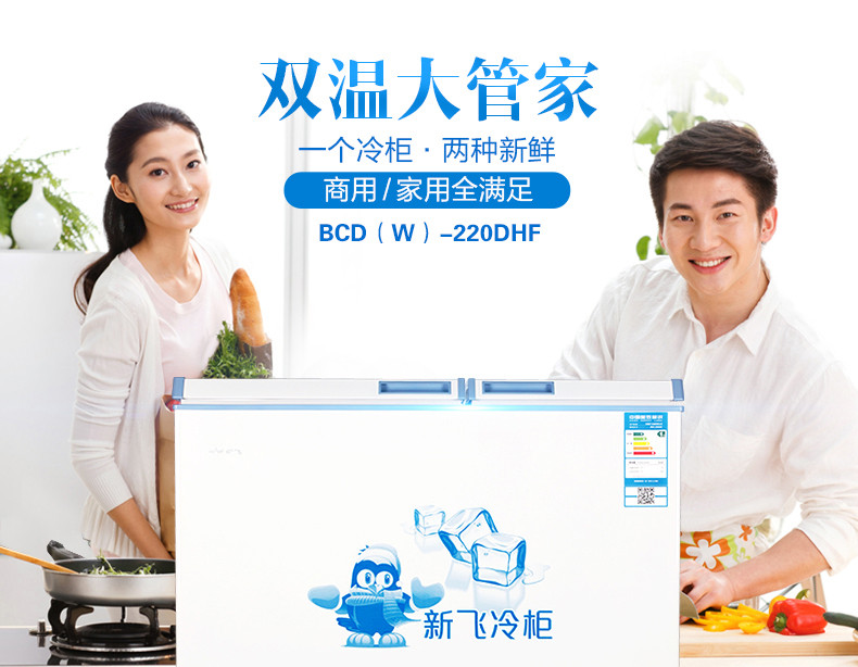 新飞冷柜BCD-220DHF