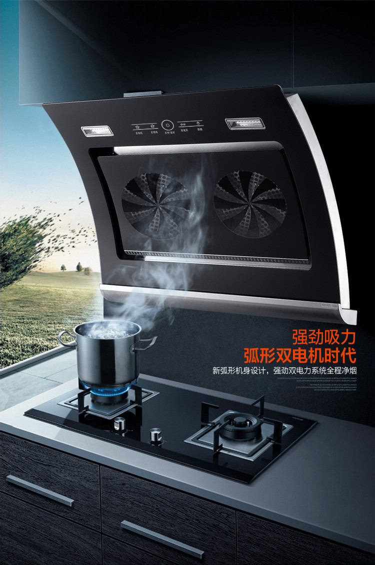 OPAIEIN 油烟机 OP209 广东欧派电器有限公司