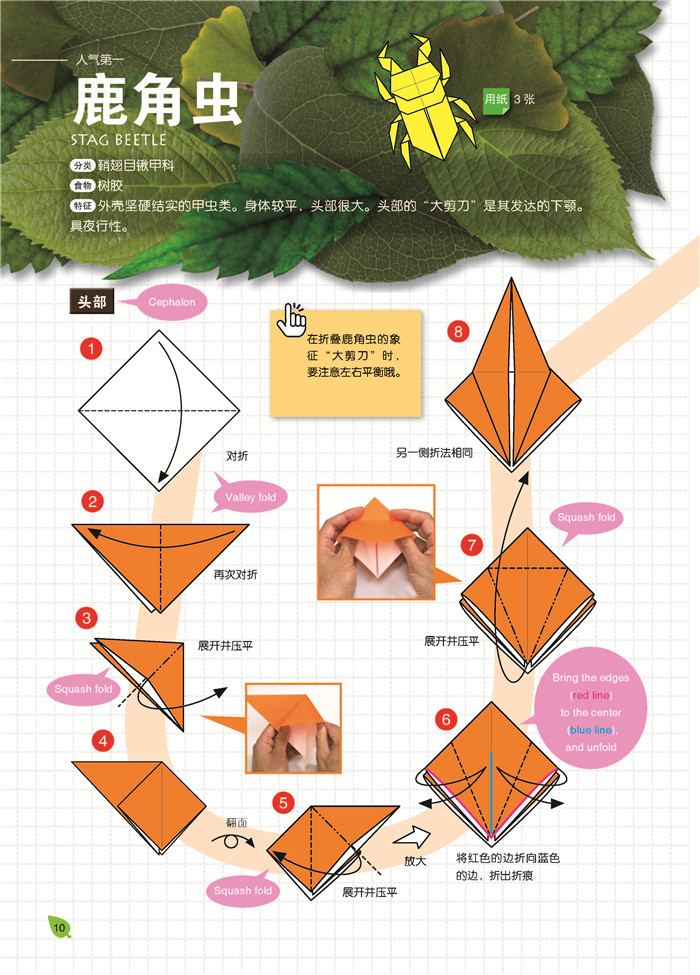 一起动手做昆虫折纸