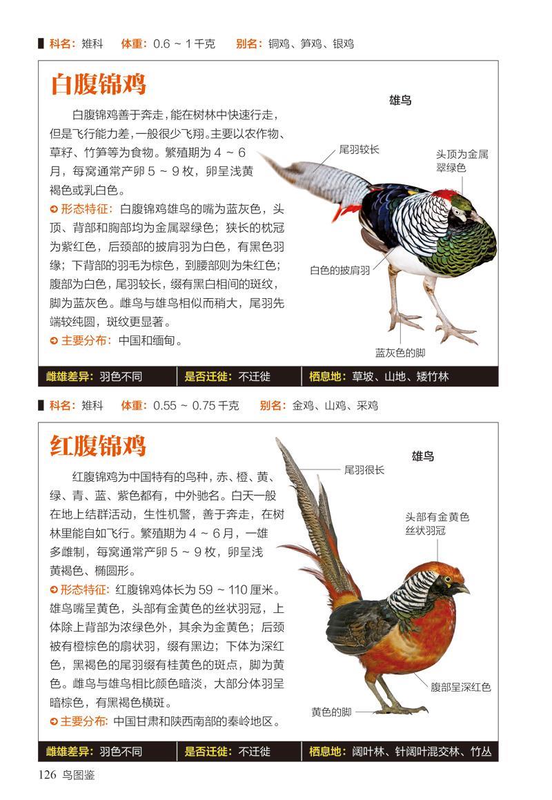 鸟图鉴 :410种鸟类的特征与习性