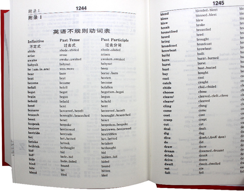 《正版包邮新版新概念 英汉汉英词典 字典英语