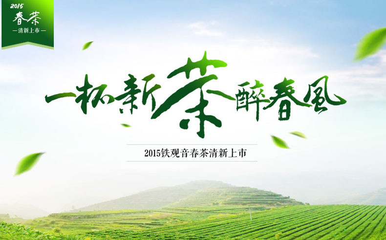 安溪铁观音茶叶