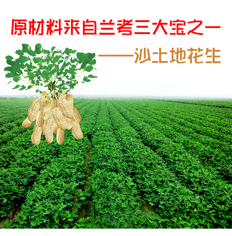 【兰考馆】河南特产御街口炒花生 五香花生米180g 花生仁 优质大花生