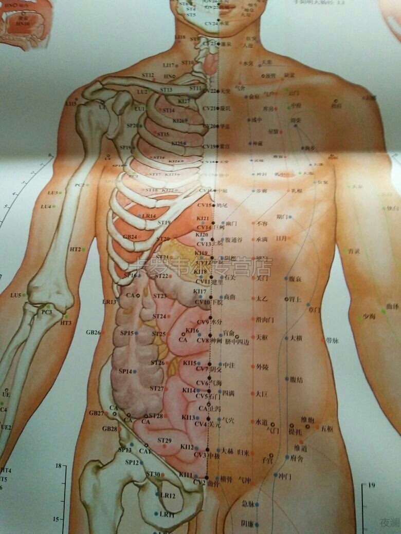 针灸人体经络穴位大挂图全套中医针灸标准挂图人为3张