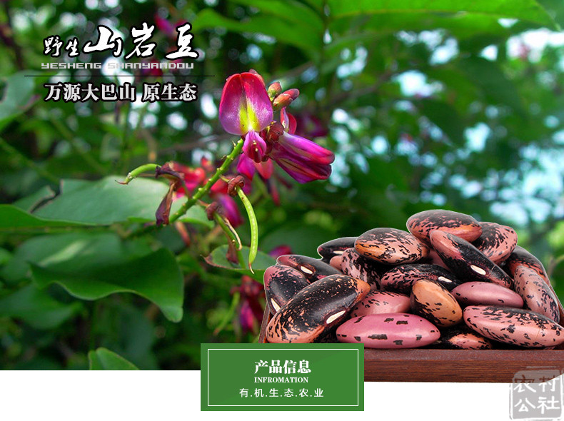 绿岛山下杂粮 【中华特色馆】达州馆 绿岛山下万源大巴山野生山岩豆崖