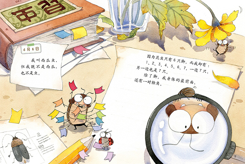 我的日记系列西瓜虫的日记