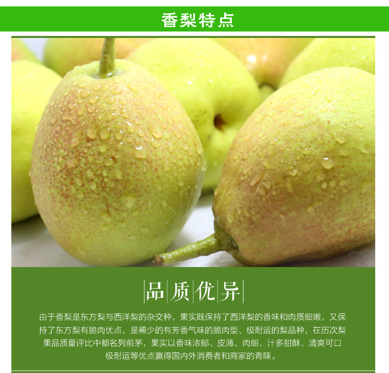 【福至亲】新疆特产库尔勒香梨5斤装 香梨蜜甜无渣