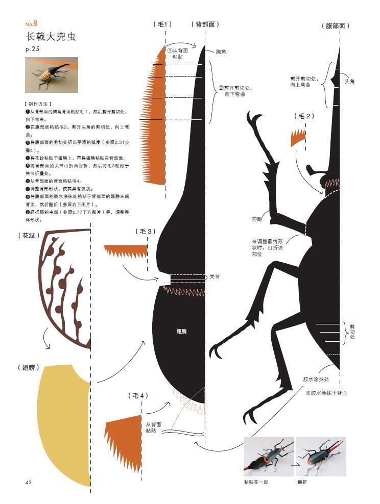 正版书籍 昆虫立体剪纸 今森光彦;张瑜 9787534960185