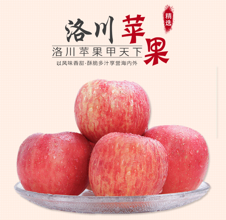 陕西新鲜洛川苹果红富士精品10斤装(果径80-85mm)包邮