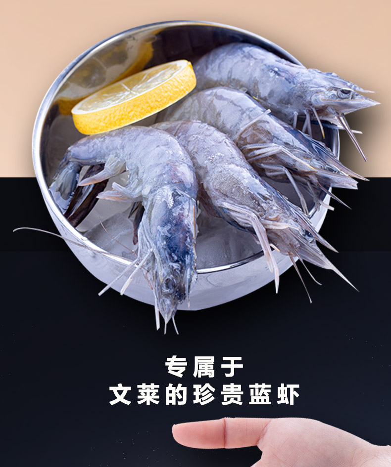 【苏宁生鲜】汶莱冻带头蓝虾800g(61-70只/kg) 海鲜水产 进口