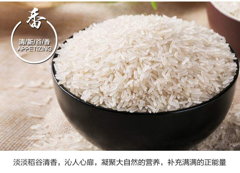 青原嘉禾胚芽米长粒米油粘米 2016优质大米南