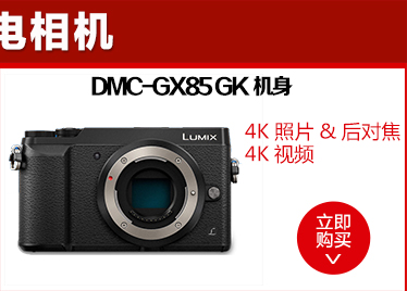 松下（Panasonic）Lumix DC-GF9XGK（14-42X）微型单电套机 黑色 4K美颜自拍 微单相机