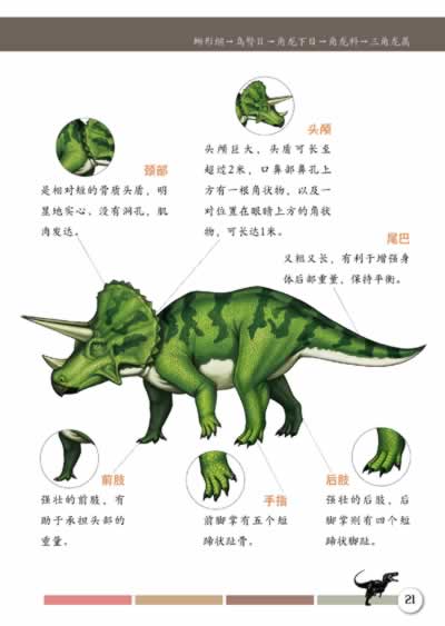 书使用说明  特暴龙  暴龙  三角龙  大鸭龙  巨体龙  分支龙  似鹅龙