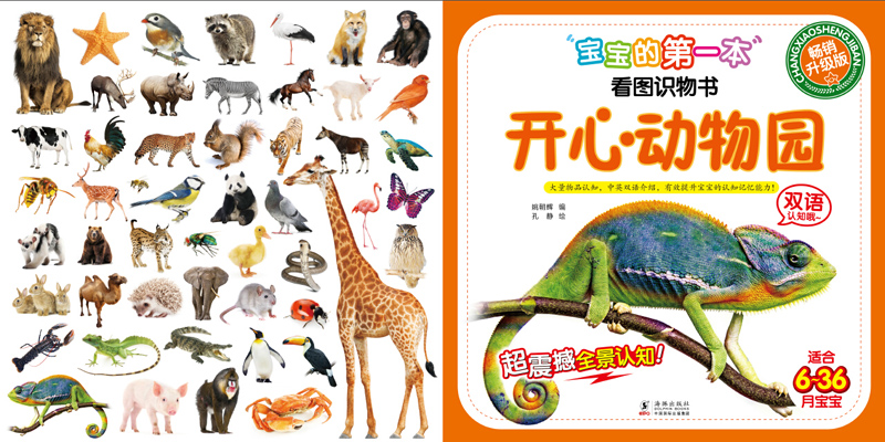 宝宝的第一本看图识物书(套装共4册)
