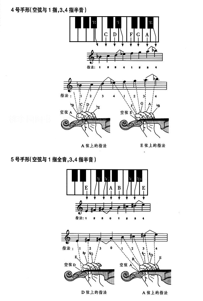 长笛指法简谱_长笛指法表简谱(3)